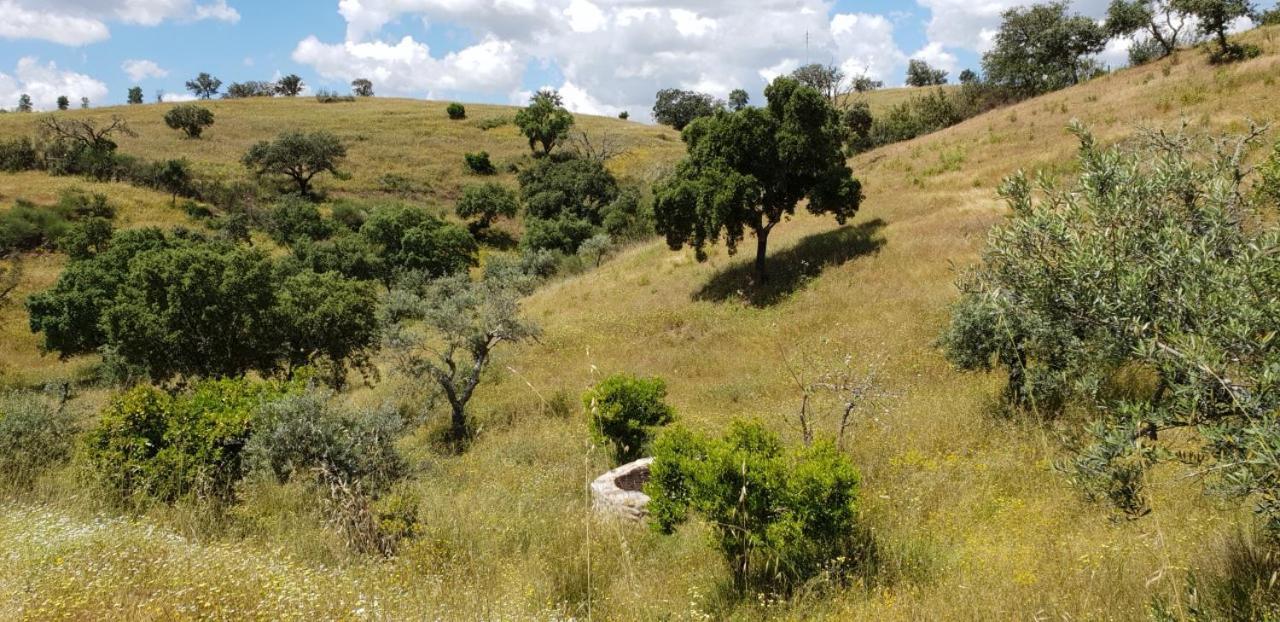 Vila Verde de Ficalho Monte Anna Bed & Breakfast エクステリア 写真